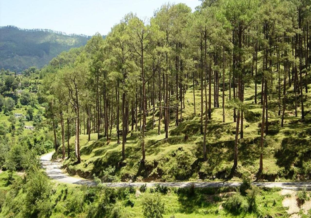 Uttarakhand Resort Kausani Exterior foto